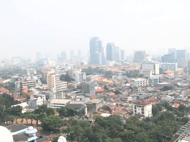 Menteng Park Tower Diamond Lantai 20