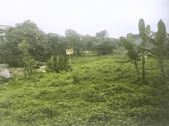 25.651 m2 Plot of Land For Sale in Warung Buncit