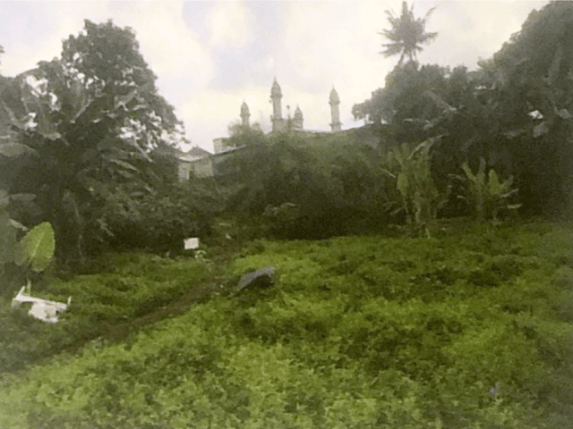 25.651 m2 Plot of Land For Sale in Warung Buncit