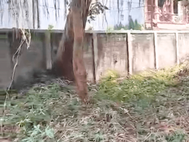 1.884 m2 Plot of Land For Rent in Kemang Selatan
