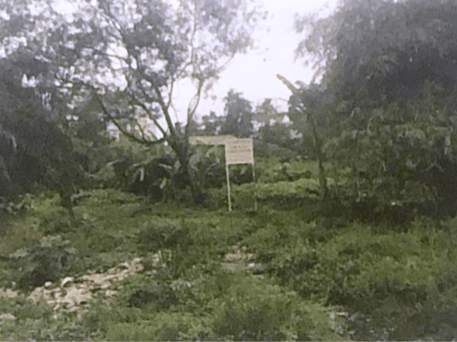 25.651 m2 Plot of Land For Sale in Warung Buncit