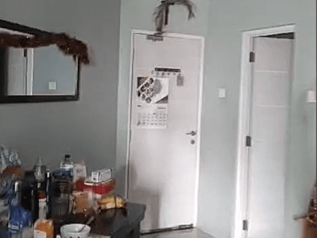 Tamansari Semanggi Tower B Lantai 27