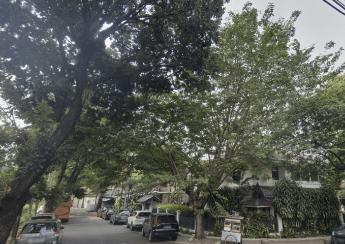 Wijaya